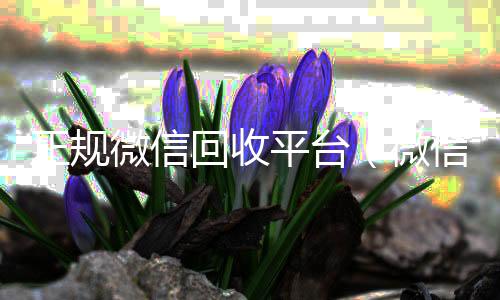 正规微信回收24小时在线回收vx平台（微信回收正规官网）